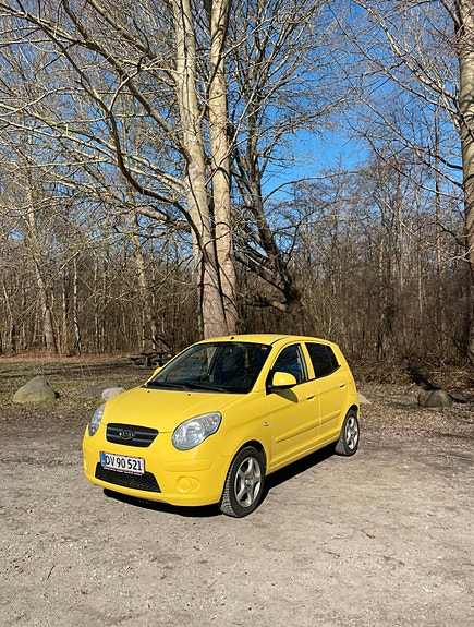 Kia Picanto til salg hos Nabilli