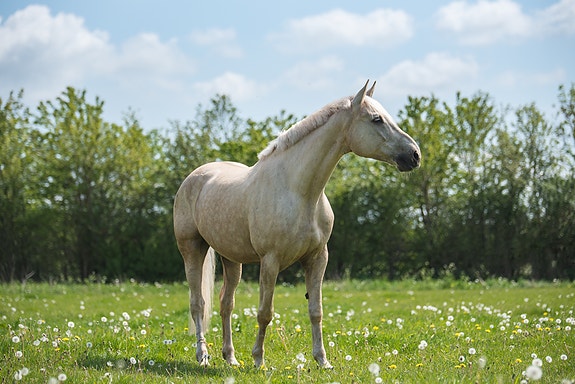 Product image 1 of 10