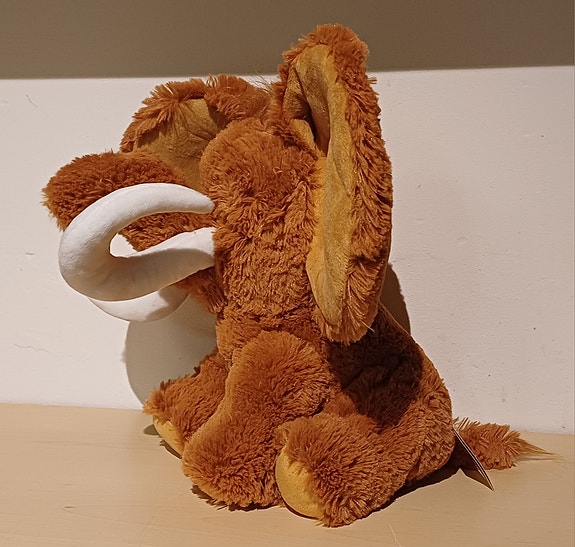 Product image 12 of 12