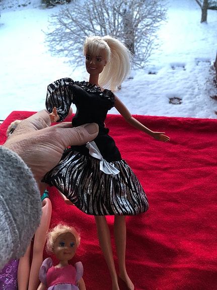 Product image 5 of 10