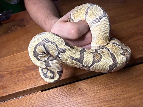 Product image 4 of 8