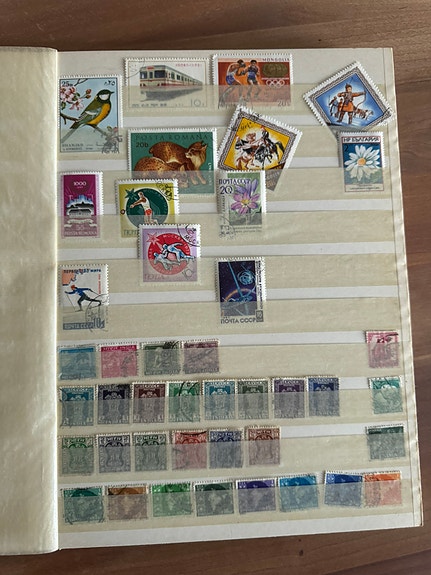 Product image 5 of 10