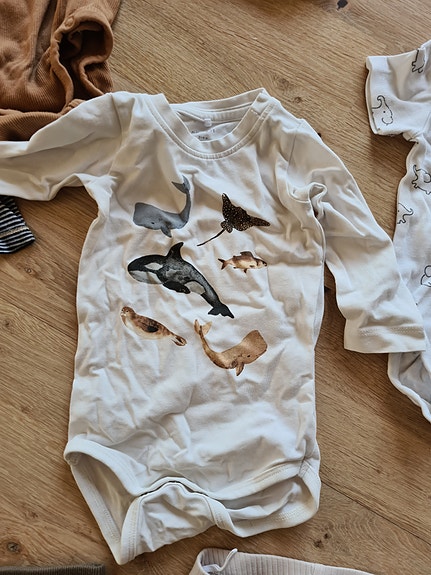 Product image 14 of 15