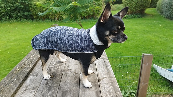 Product image 4 of 10