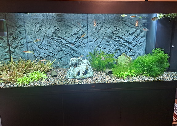 Product image 1 of 7