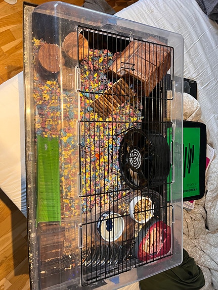 Product image 1 of 7