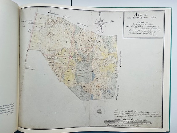 Product image 16 of 17