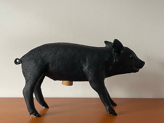 Product image 1 of 10