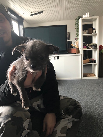 Product image 2 of 8