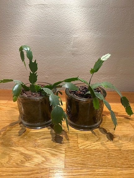 Product image 21 of 21