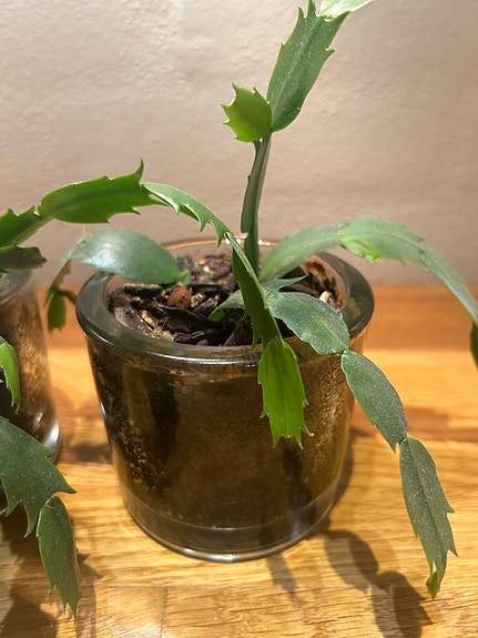 Product image 20 of 21