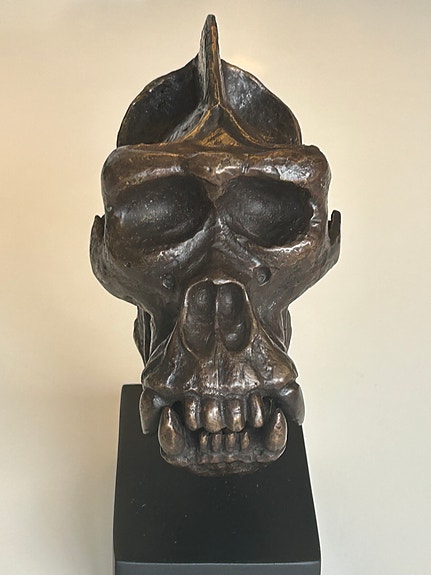 Product image 12 of 18