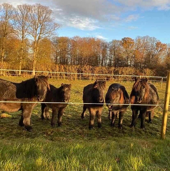 Product image 1 of 10