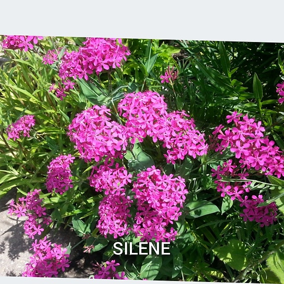 Product image 37 of 39
