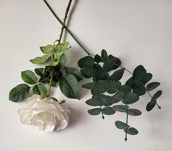 Product image 12 of 15