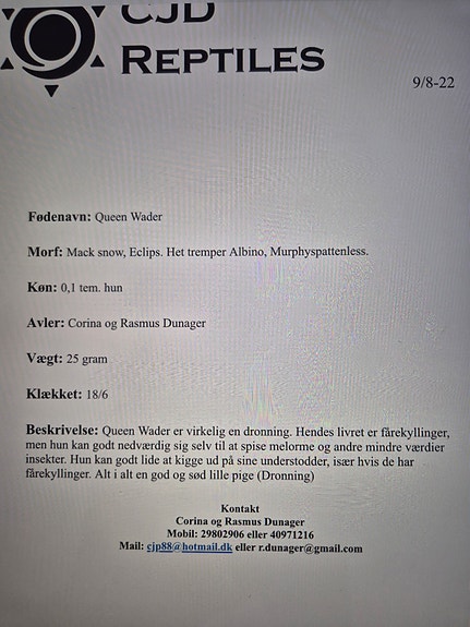 Product image 9 of 10