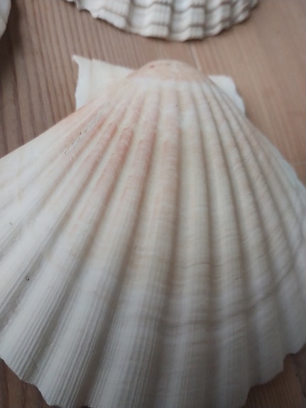 Product image 12 of 12