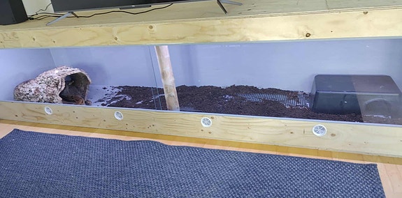 Product image 17 of 28