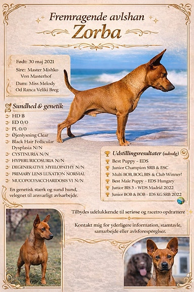 Product image 1 of 8