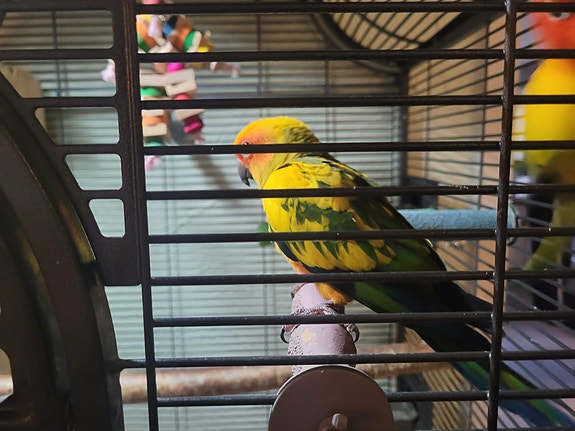 Product image 5 of 9