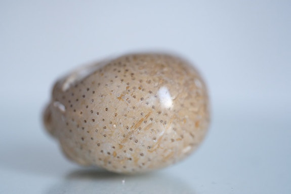Product image 11 of 14