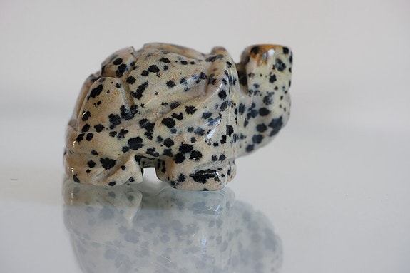 Product image 11 of 15
