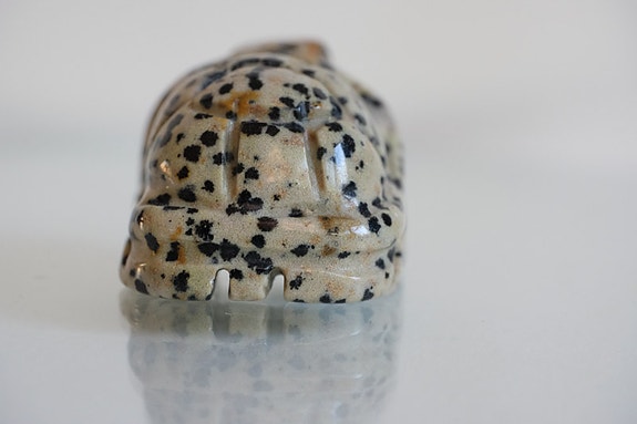 Product image 12 of 15