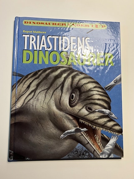 Product image 1 of 10