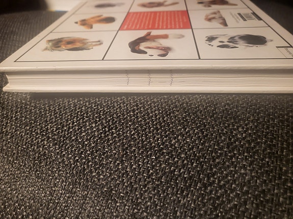 Product image 4 of 13
