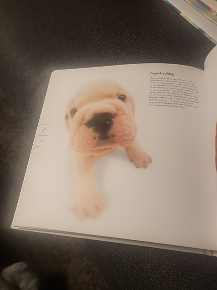 Product image 13 of 13