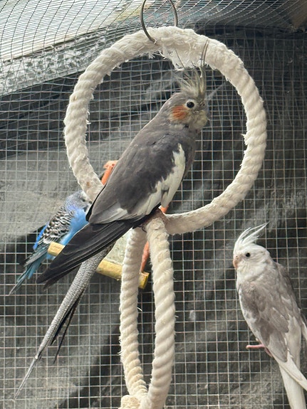 Product image 4 of 10