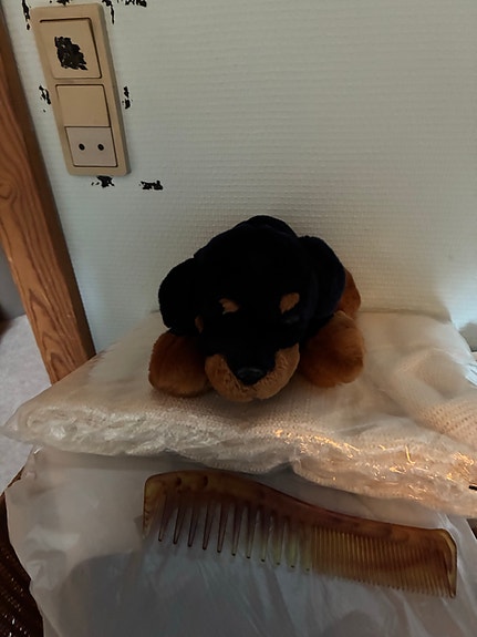 Product image 5 of 10