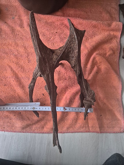 Product image 11 of 16
