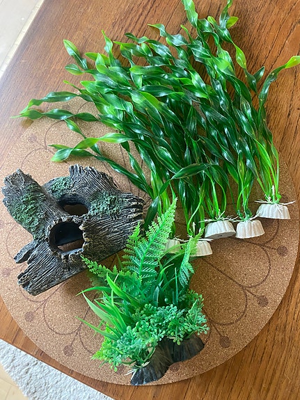 Product image 1 of 6