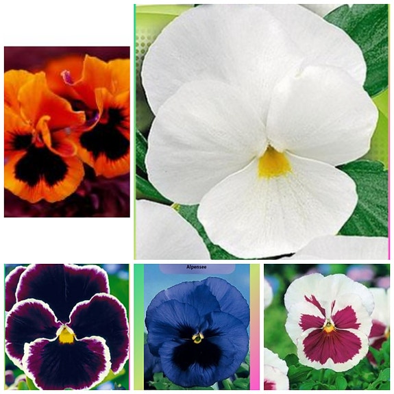 Product image 15 of 23