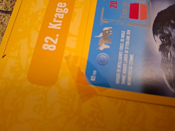 Product image 15 of 16