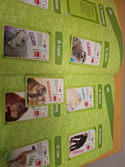 Product image 12 of 16