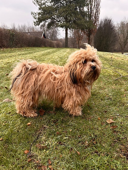 Product image 1 of 9