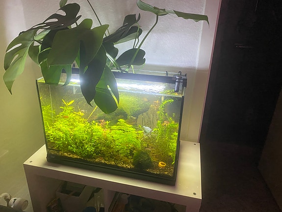 Product image 1 of 9