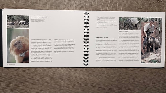 Product image 15 of 20