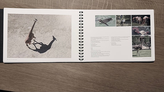Product image 12 of 20