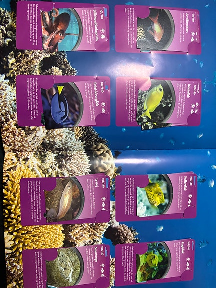 Product image 16 of 21