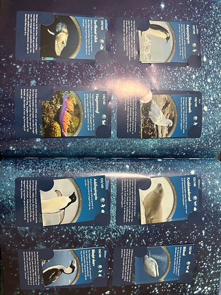 Product image 20 of 21