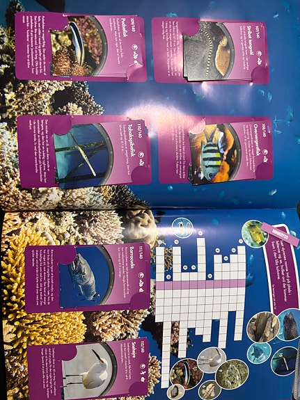 Product image 17 of 21