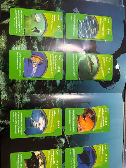 Product image 12 of 21