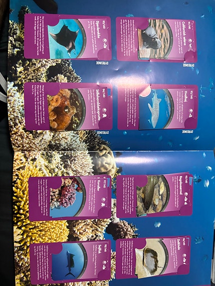 Product image 13 of 21