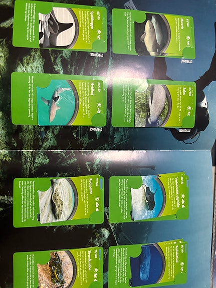 Product image 11 of 21