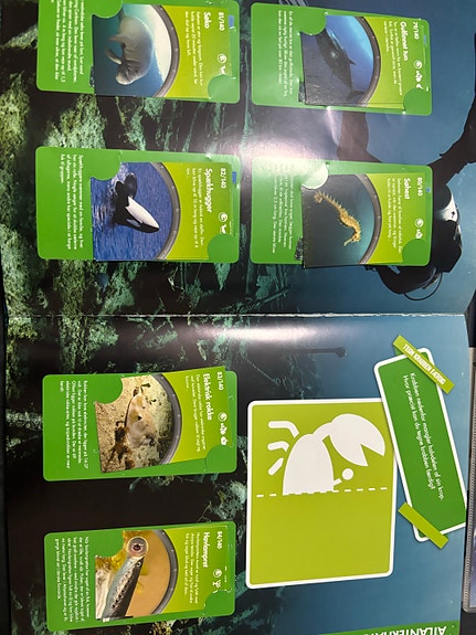 Product image 15 of 21