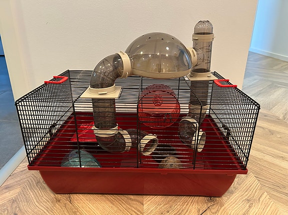 Product image 2 of 8