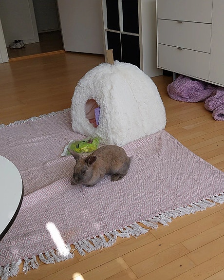 Product image 6 of 9